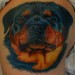 Tattoos - Dog - 20694